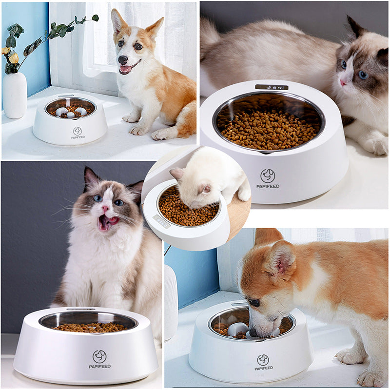 FetchMore™ Slow Feeder Pet Bowl