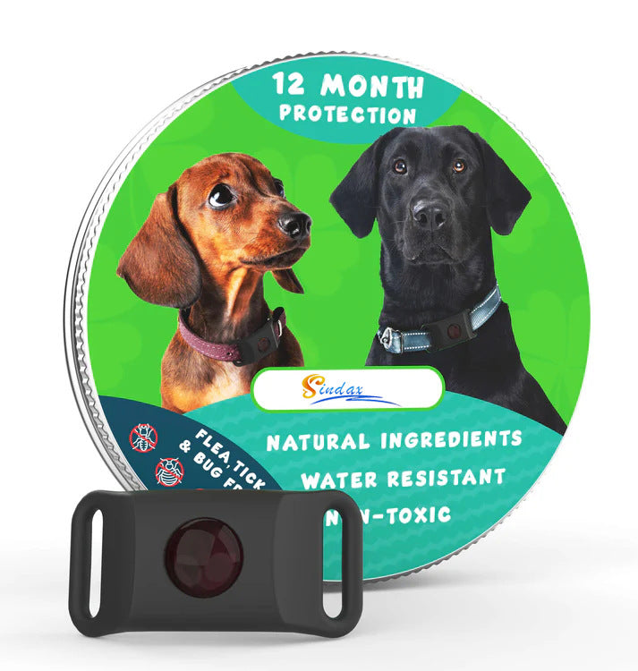 FetchMore™ TickGuard Protection Collar
