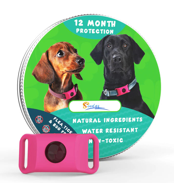 FetchMore™ TickGuard Protection Collar